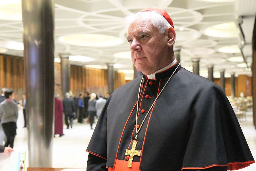 Cardinal Gerhard Muller takes part in a session of the Humanum Conference inside the Vaticans Synod Hall on Nov 17 2014 Credit Bohumil Petrik CNA 12 9 15