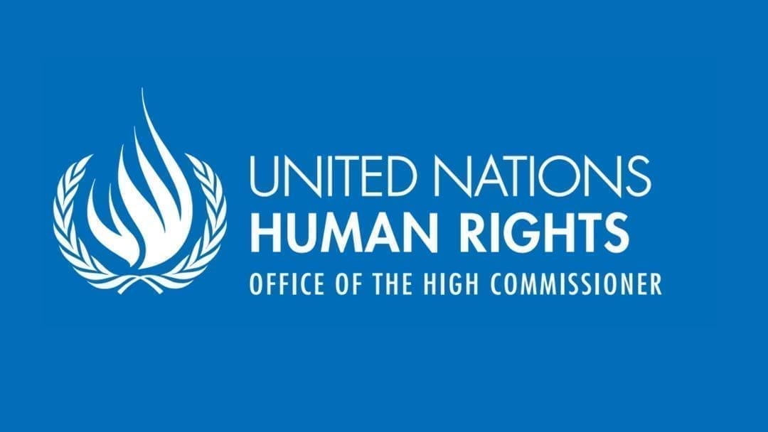 PRETI PEDOFILI; pesante giudizio dell’ONU a Governo e Magistratura per il basso numero di indagini, azioni penali e interventi. Subito una commissione di inchiesta