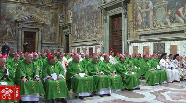 Incontro abusi in Vaticano Papa Francesco dinanzi al mistero del male proteggere i piccoli dai lupi voraci articleimage 2