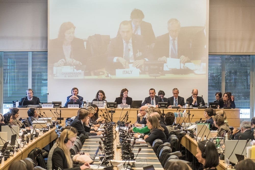 Tutela dei minori; cosa ha chiesto l’ONU all’Italia e perché. La soddisfazione della Rete L’ABUSO