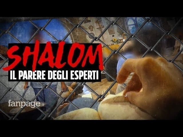 Gli esperti sui metodi di Shalom: “Trattamenti inumani, sembra un lager, è agghiacciante”