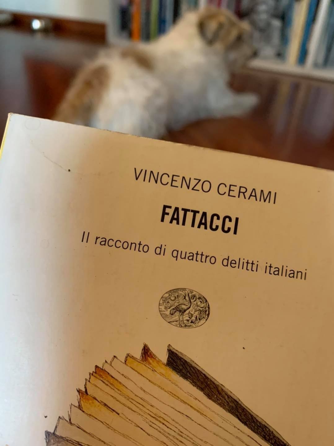 Il caso Casati Stampa: cronistoria di una storiaccia nera (quarta e ultima parte: pillole)